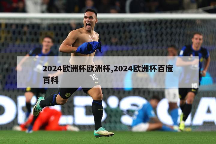 2024欧洲杯欧洲杯,2024欧洲杯百度百科
